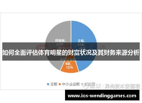 如何全面评估体育明星的财富状况及其财务来源分析