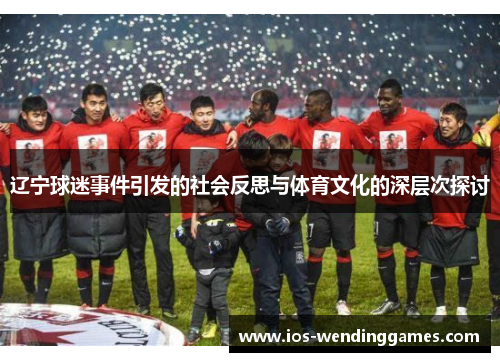 辽宁球迷事件引发的社会反思与体育文化的深层次探讨