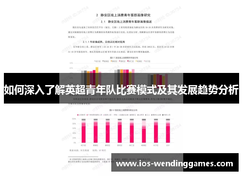 如何深入了解英超青年队比赛模式及其发展趋势分析 如何深入了解英超青年队比赛模式及其发展趋势分析