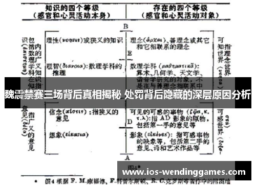 魏震禁赛三场背后真相揭秘 处罚背后隐藏的深层原因分析
