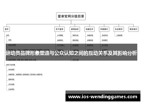 运动员品牌形象塑造与公众认知之间的互动关系及其影响分析