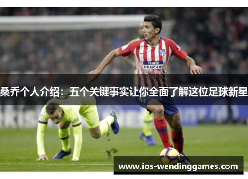 桑乔个人介绍:五个关键事实让你全面了解这位足球新星 桑乔个人介绍:五个关键事实让你全面了解这位足球新星