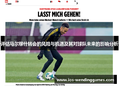 评估马尔穆什转会的风险与机遇及其对球队未来的影响分析