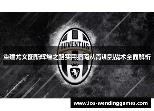 重建尤文图斯辉煌之路实用指南从青训到战术全面解析