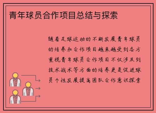 青年球员合作项目总结与探索